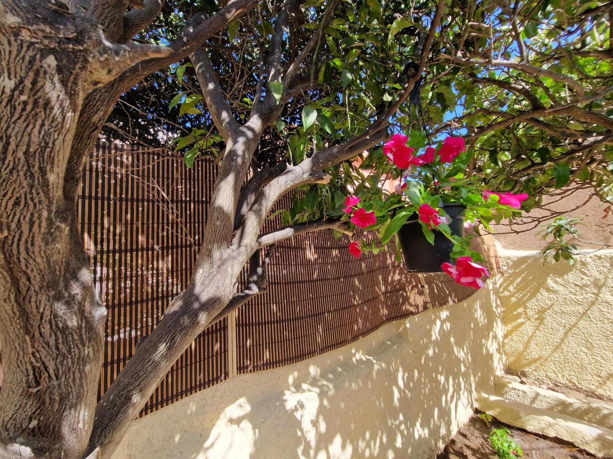 La Maddalena Holiday Home Exterior foto